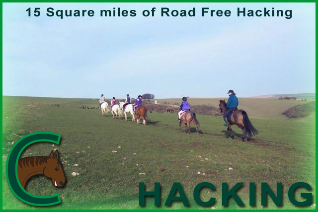 chestnuts riding school hacking picture